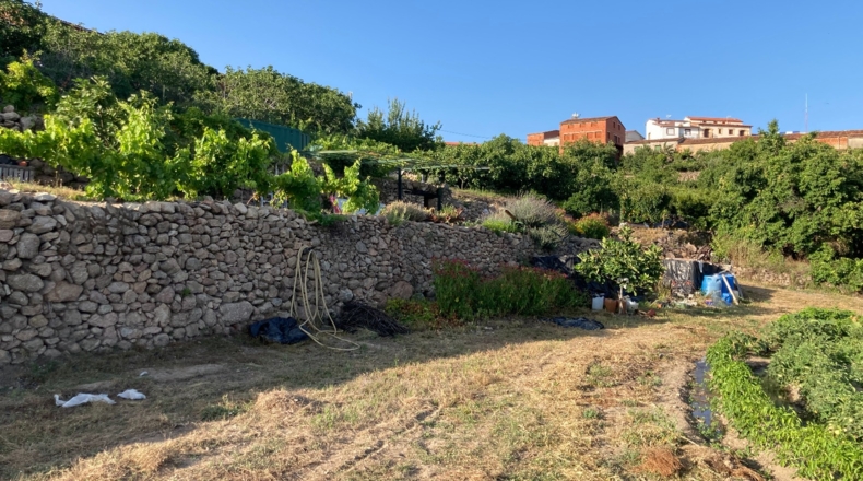 Cáceres - Aldeanueva de la Vera - 13750m2
