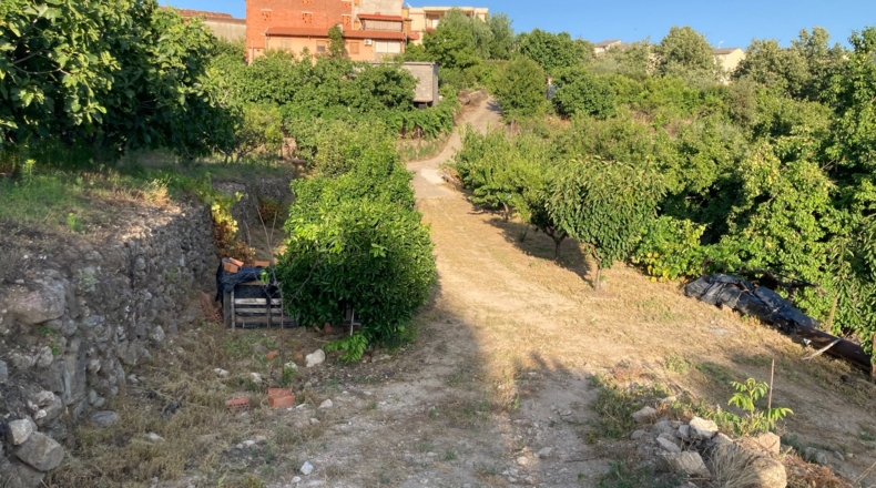 Cáceres - Aldeanueva de la Vera - 13750m2