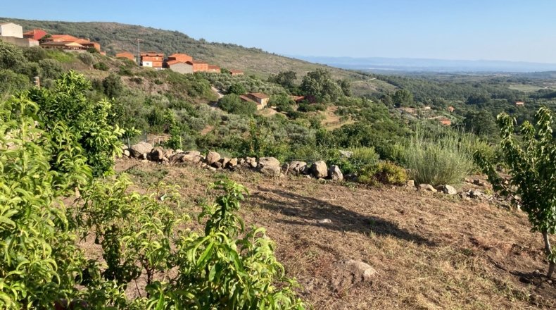 Cáceres - Aldeanueva de la Vera - 13750m2
