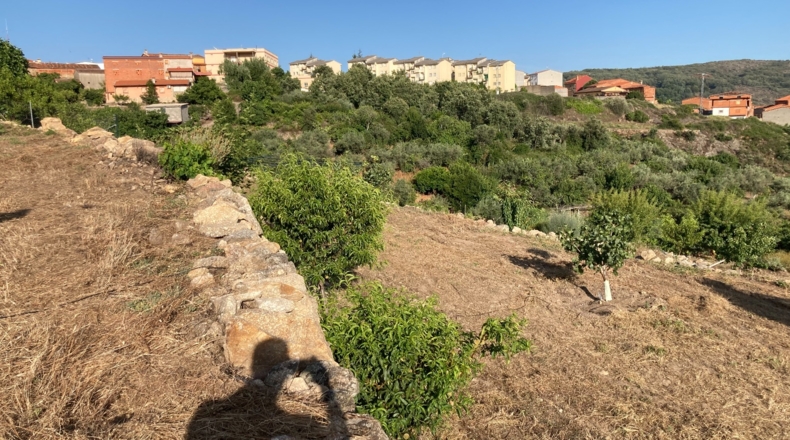 Cáceres - Aldeanueva de la Vera - 13750m2