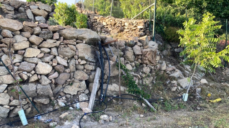 Cáceres - Aldeanueva de la Vera - 13750m2