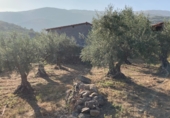 Land suitable for development for sale on Urbanización Cerrillo de las Eras, Aldeanueva de la Vera, ref: TR81178 photo