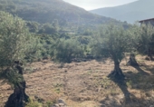Land suitable for development for sale on Urbanización Cerrillo de las Eras, Aldeanueva de la Vera, ref: TR81178 photo