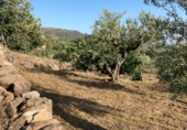 Land suitable for development for sale on Urbanización Cerrillo de las Eras, Aldeanueva de la Vera, ref: TR81178 photo