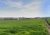 Sòl urbà en venda a la Avenida Casa Herrera, Mèrida, ref.: TR81189 foto