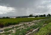 Terreny amb hivernacle en venda a la Camino de la Moredera, Fuente Vaqueros, ref.: TR81295 foto