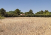 Urban land for sale on Casalonga, ref: TR81330 photo