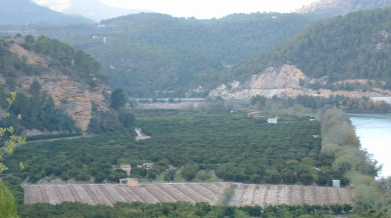 Tarragona - Benifallet - 7300m2