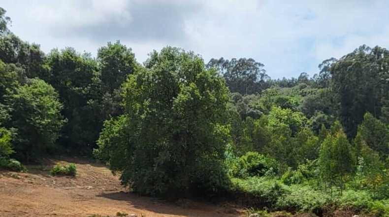 Cantabria - Arnuero - 8950m2