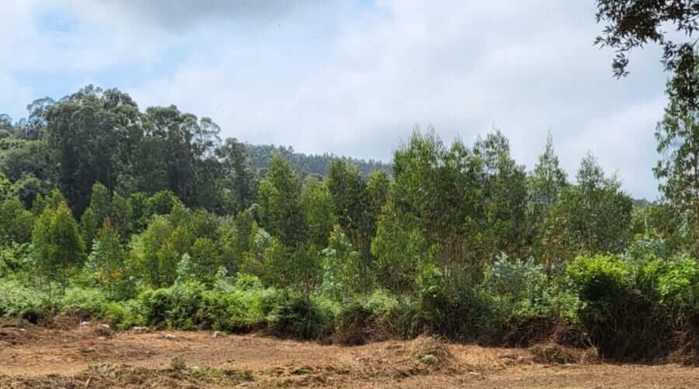 Cantabria - Arnuero - 8950m2