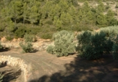 Finca rústica en venta en la Finca Ritxé, Benifallet, ref: TR81341 foto