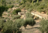 Finca rústica en venta en la Finca Ritxé, Benifallet, ref: TR81341 foto