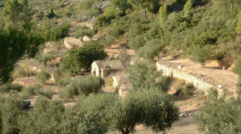 Tarragona - Benifallet - 40000m2