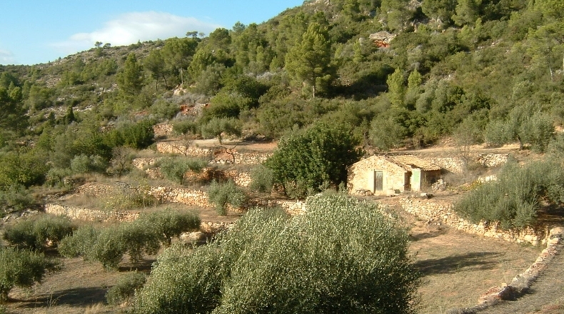 Tarragona - Benifallet - 40000m2