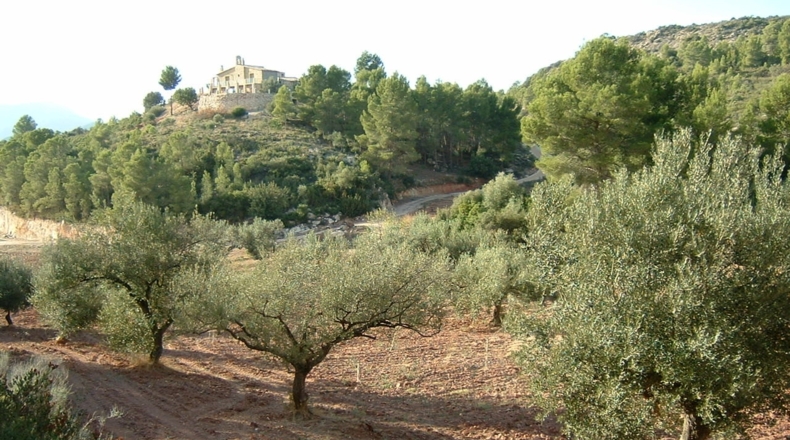 Tarragona - Benifallet - 40000m2