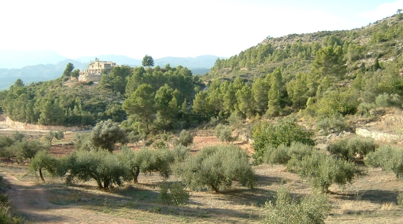 Tarragona - Benifallet - 40000m2