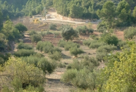 Foto 10