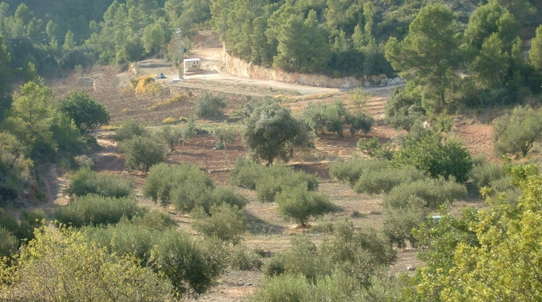 Tarragona - Benifallet - 40000m2