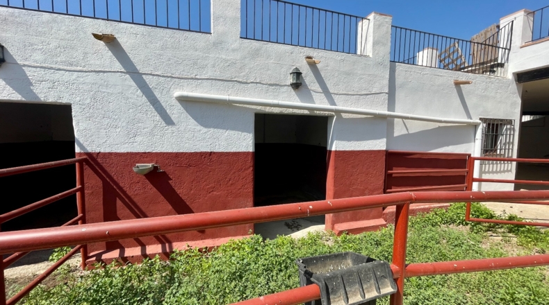 Murcia - El Cocón - 8000m2