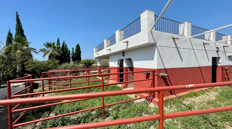 Murcia - El Cocón - 8000m2