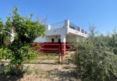 Rural estate for sale on El Cocón, ref: TR81349 photo