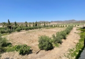 Rural estate for sale on El Cocón, ref: TR81349 photo