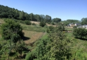 Дом с участком на продажу в городе Villaverde de los Cestos Фото