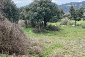 Tavertet 650&nbsp;m² 