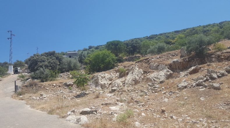 Málaga - Alfarnatejo - 7356m2
