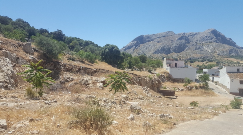 Málaga - Alfarnatejo - 7356m2
