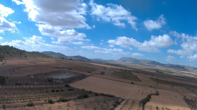 Murcia - Yecla - 62100m2