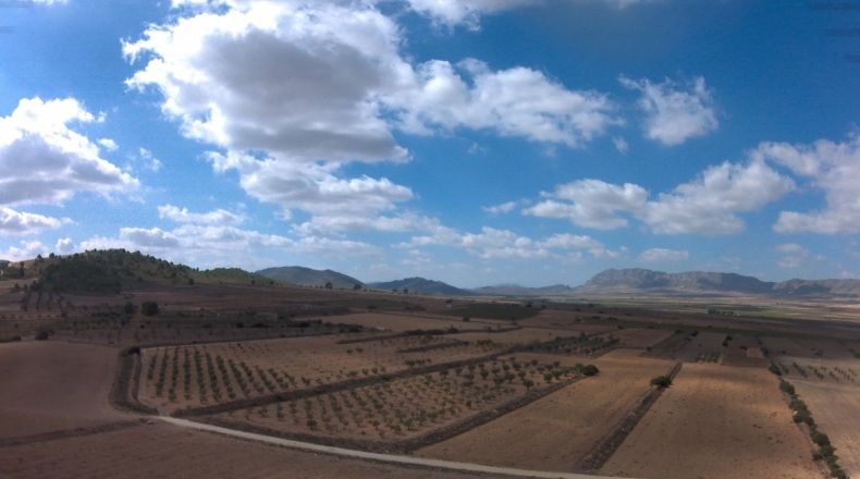 Murcia - Yecla - 62100m2