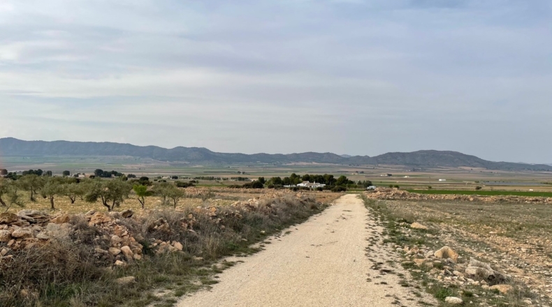 Murcia - Yecla - 62100m2