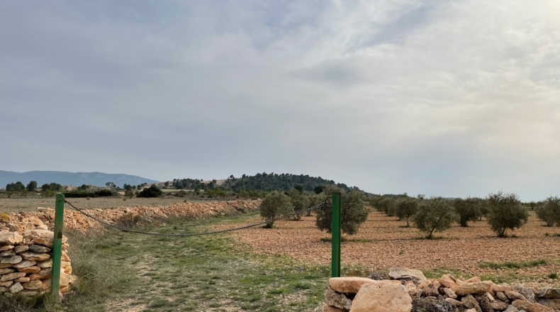Murcia - Yecla - 62100m2