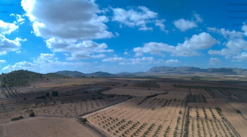 Murcia - Yecla - 62100m2
