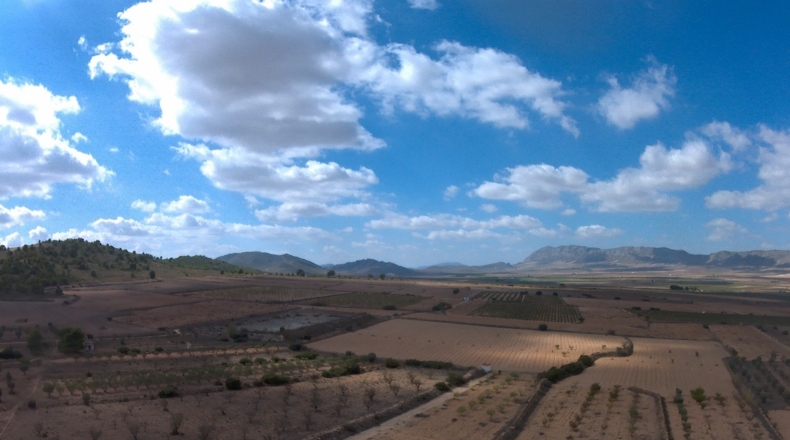Murcia - Yecla - 62100m2