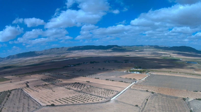 Murcia - Yecla - 62100m2
