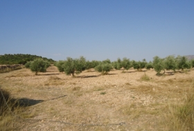 Foto 13