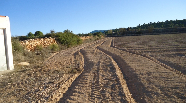 Murcia - Yecla - 62100m2