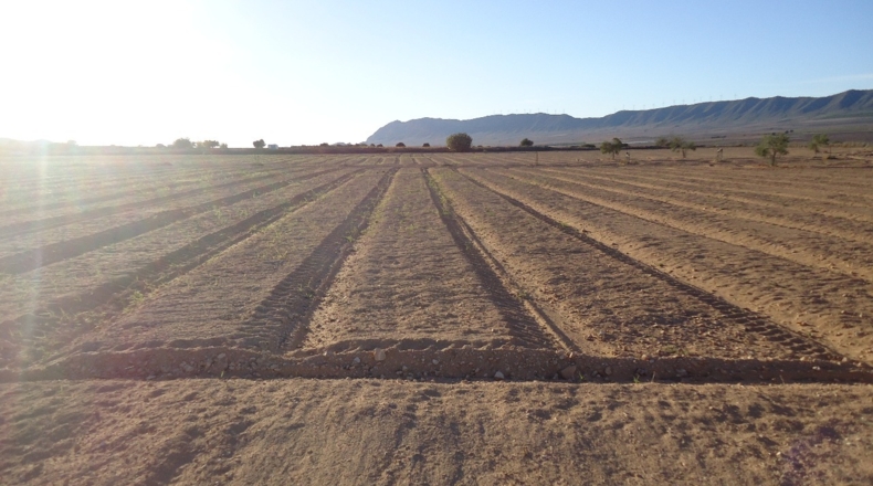 Murcia - Yecla - 62100m2