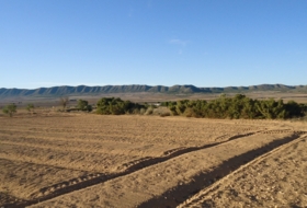 Foto 16