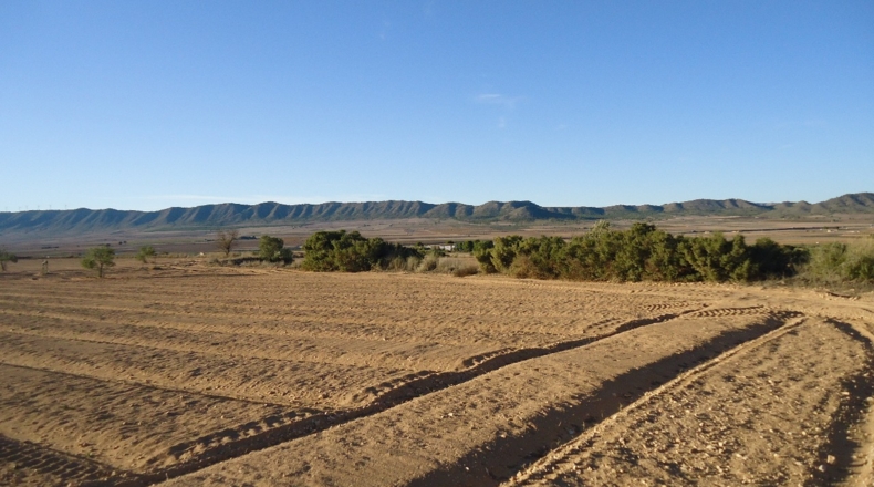 Murcia - Yecla - 62100m2