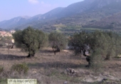 Non-developable land for sale on Carrer Salamanca, La Llosa de Camacho, ref: TR81744 photo
