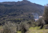 Non-developable land for sale on Carrer Salamanca, La Llosa de Camacho, ref: TR81744 photo