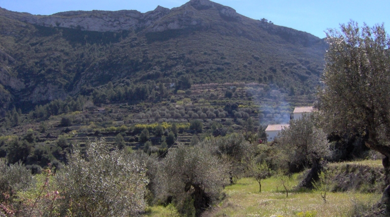 Alicante - Altea - 4000m2