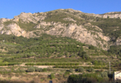 Non-developable land for sale on Carrer Salamanca, La Llosa de Camacho, ref: TR81744 photo
