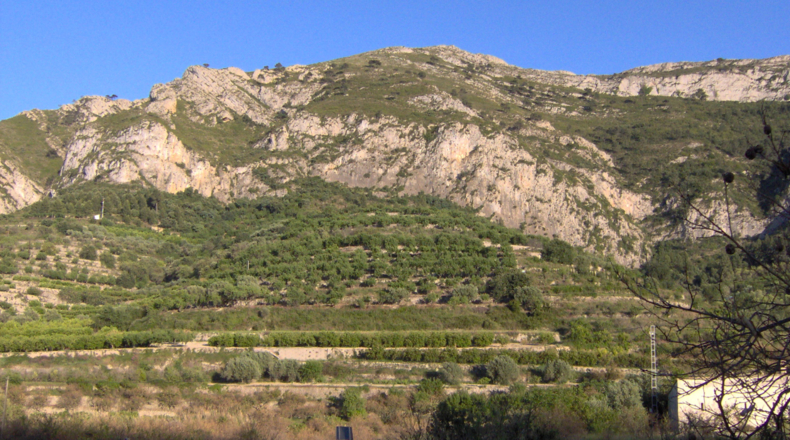 Alicante - Altea - 4000m2