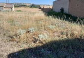 Parcela urbanizable en venta en la CARRETERA VILLAFUERTE, Pesquera de Duero, ref: TR81711 foto