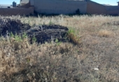 Parcela urbanizable en venta en la CARRETERA VILLAFUERTE, Pesquera de Duero, ref: TR81711 foto