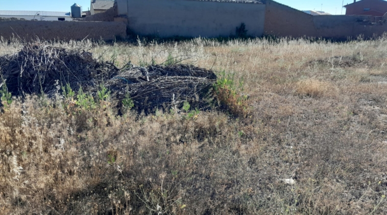 Valladolid - Pesquera de Duero - 1552m2